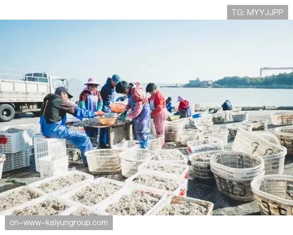 台风带来海鲜盛宴，惠州赶海活动火爆全城，惠州赶海几点去比较好